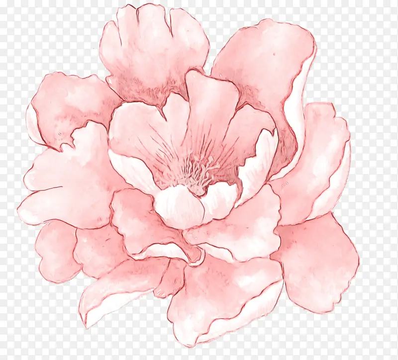 ˮ�ʻ� ���� ʪī-������