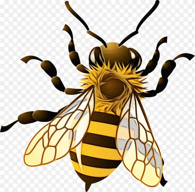 ˮ�� ���� ʪīˮ-������