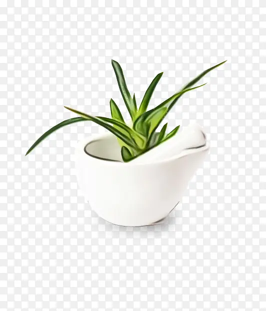 ˮ�ʻ� ���� ʪīˮ-������