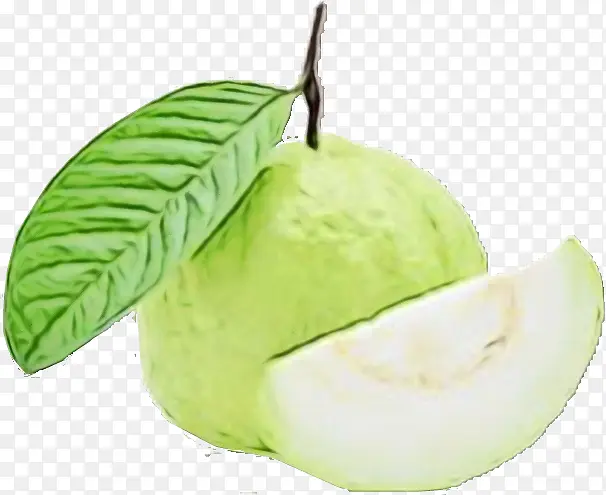 ˮ�ʻ� ���� ʪī-������