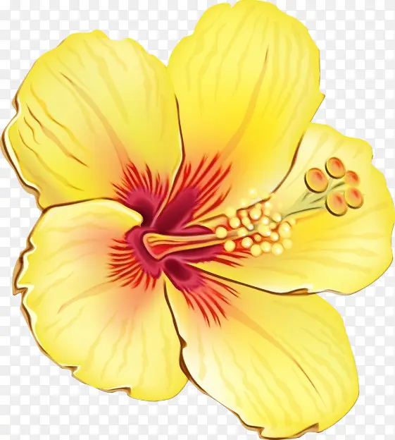 ˮ�� ���� ʪī-������