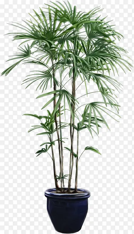 ˮ�� ���� ʪī-������