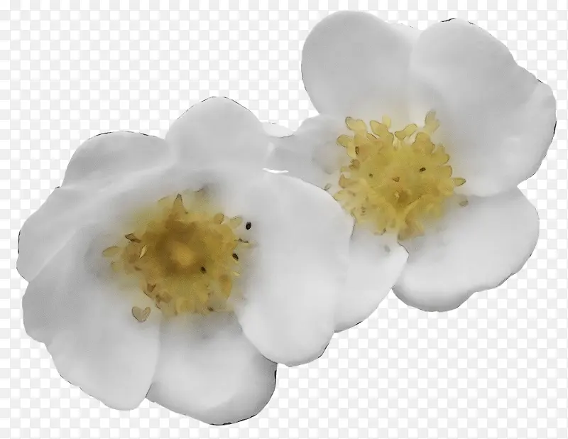 ˮ�ʻ� ���� ʪī-������