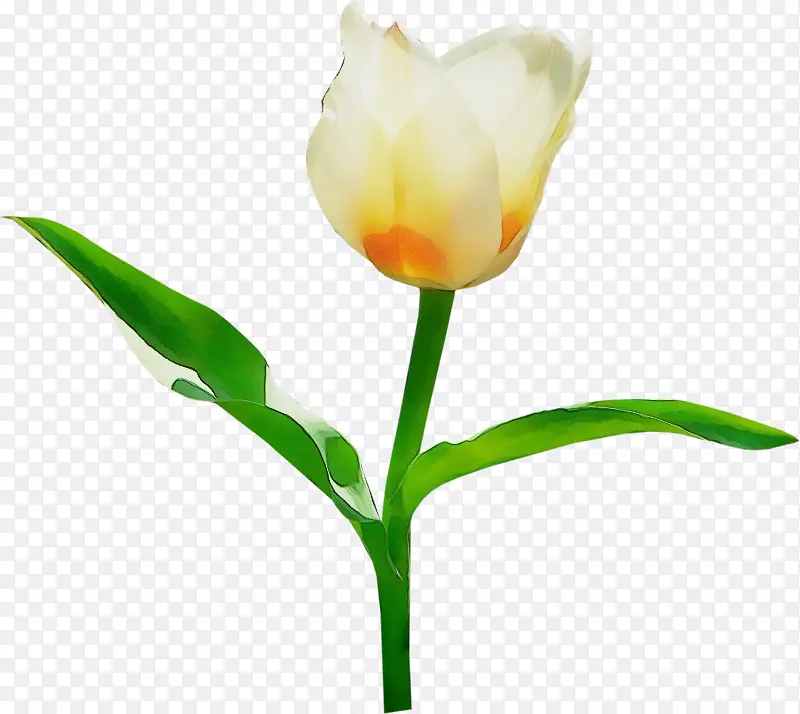 ˮ�� ���� ʪī-������