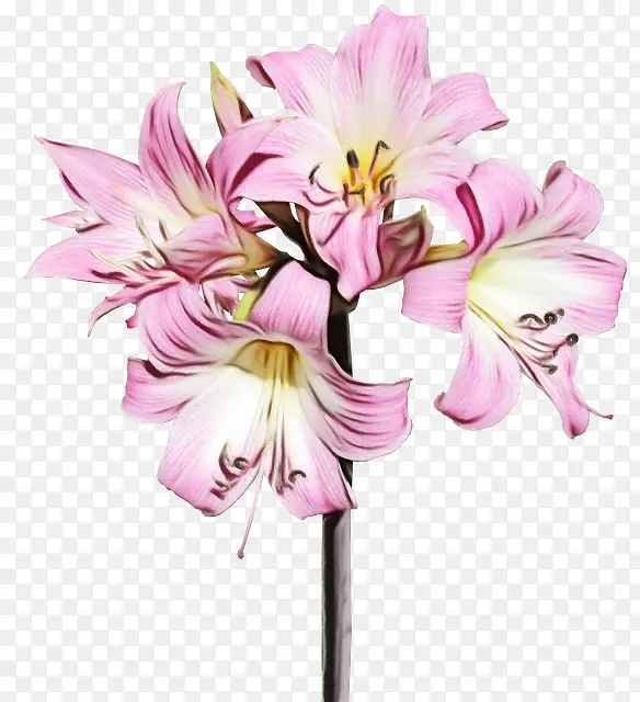 ˮ�ʻ� ���� ʪī-������