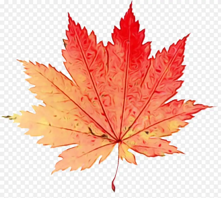 ˮ�ʻ� ���� ʪī-������