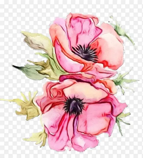 ˮ�ʻ� ���� ʪī-������