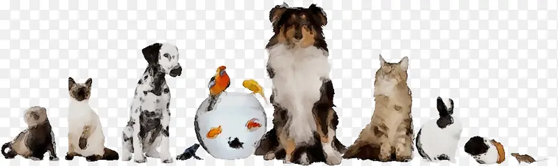 ˮ�� ���� ʪīˮ-������