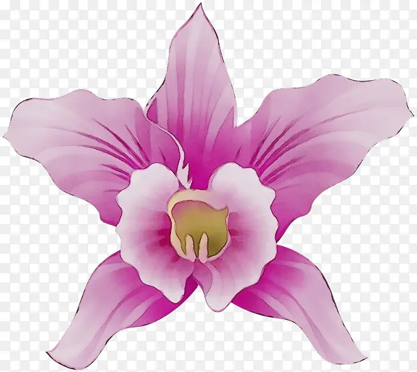 ˮ�ʻ� ���� ʪī-������