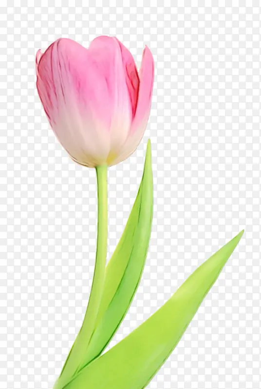 ˮ�� ���� ʪī-������