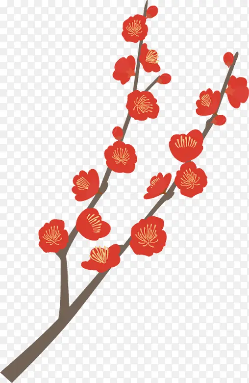 �ɹ���Ʒ�� ֲ�� ��֦-������