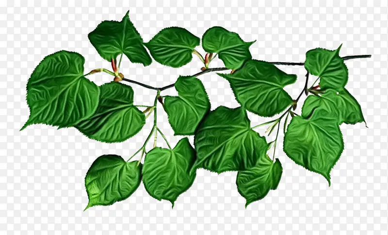 ˮ�ʻ� ���� ʪī-������