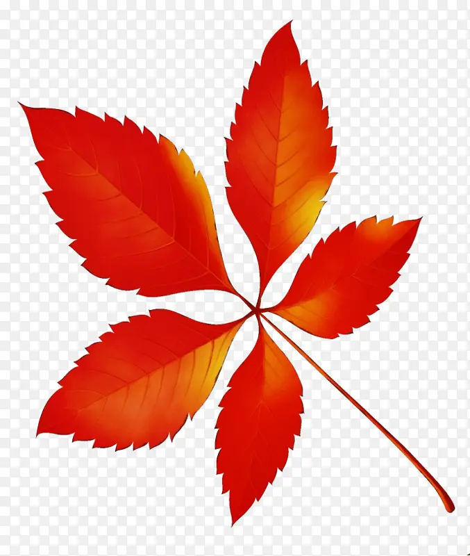 ˮ�ʻ� ���� ʪī-������