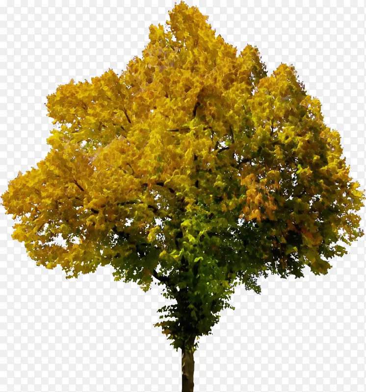 ˮ�ʻ� ���� ʪī-������