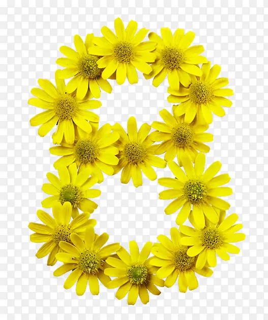 ��ɫ �� ֲ��-������