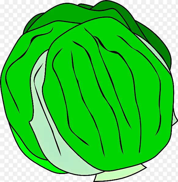 ��ɫ �߲� Ҷ��-������