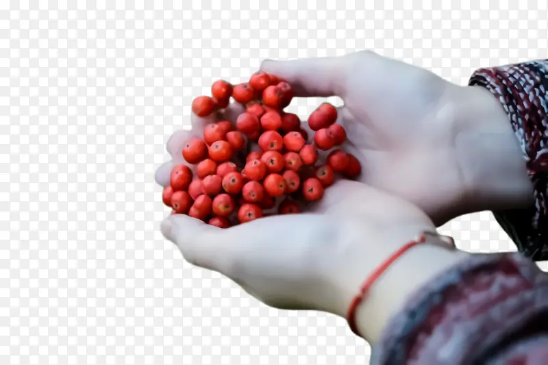 ˮ�� ��ȻʳƷ ʳƷ-������