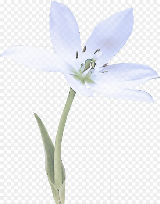 �� ����ֲ�� ����-������