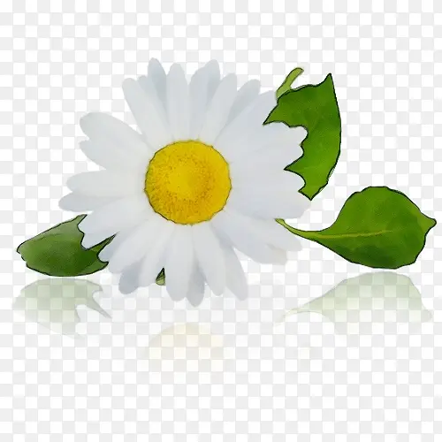 ˮ�� ���� ʪī-������