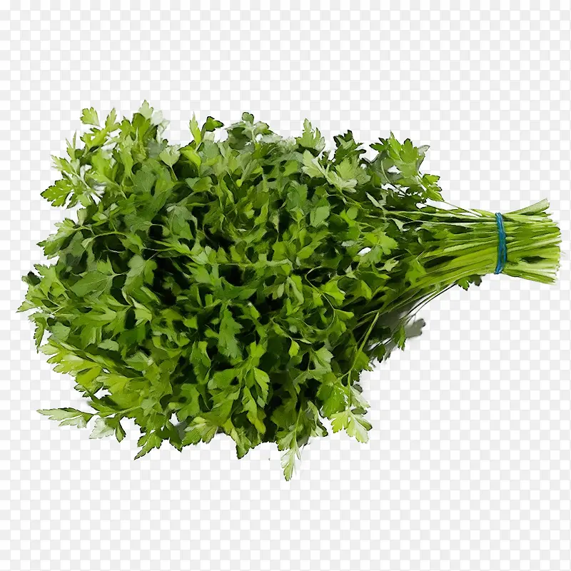 ˮ�ʻ� ���� ʪī-������