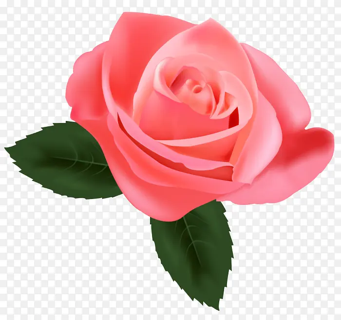 ���� ��԰õ�� ����ֲ��-������