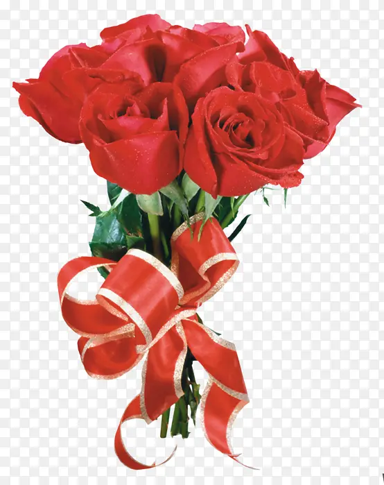 �ɹ���Ʒ�� ����ֲ�� ��԰õ��-������