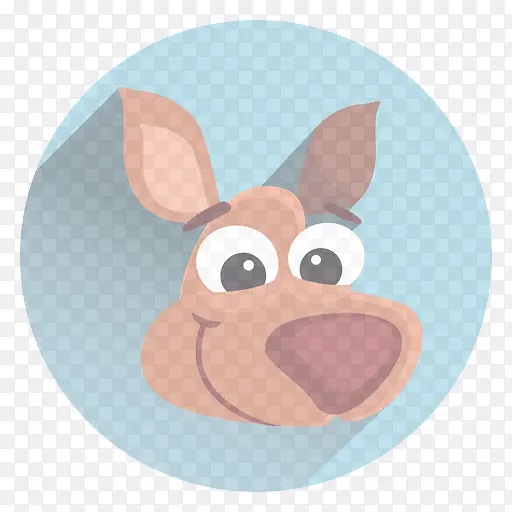 ��ͨ ���� ����-������