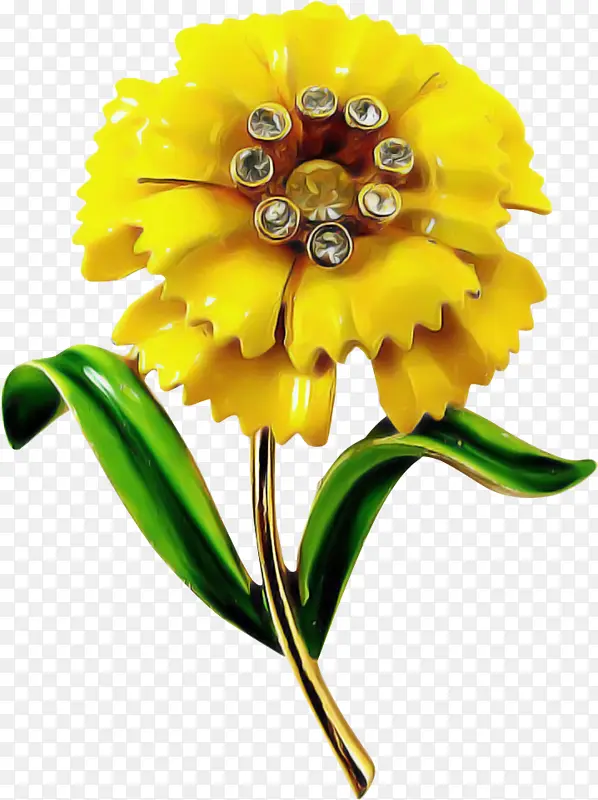 �� ����ֲ�� ��ɫ-������