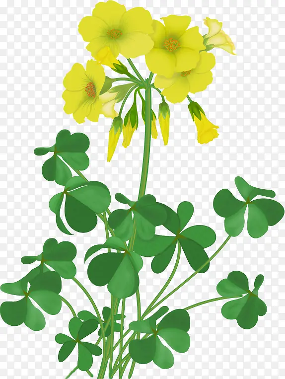 �� ����ֲ�� ֲ��-������