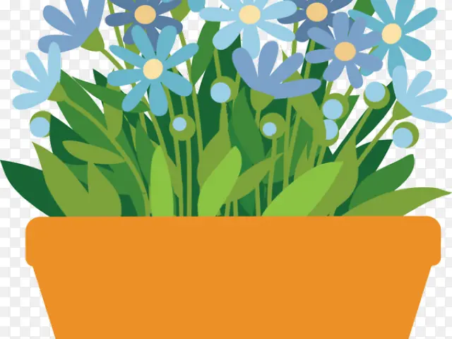 �� ֲ�� ����-������