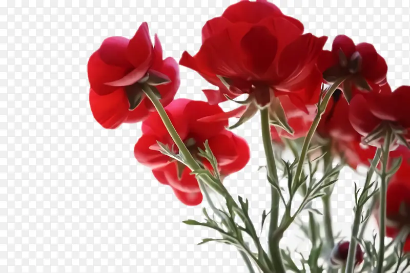 �� ����ֲ�� ֲ��-������