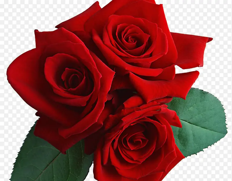 ���� õ�� ��԰õ��-������