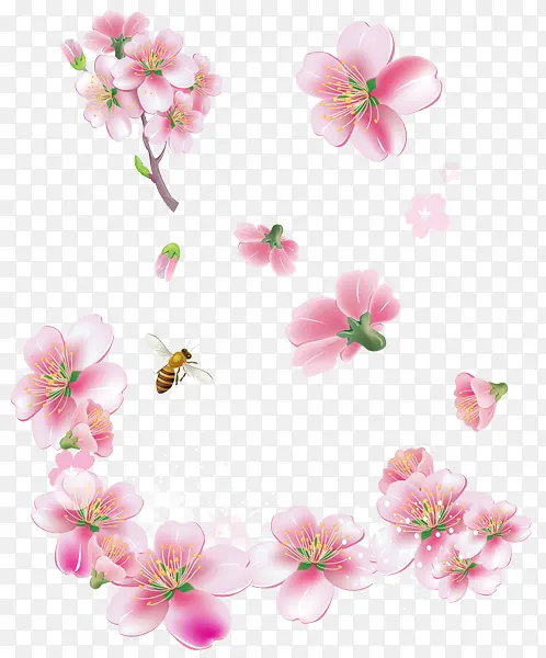 ��ɫ ���� ӣ��-������