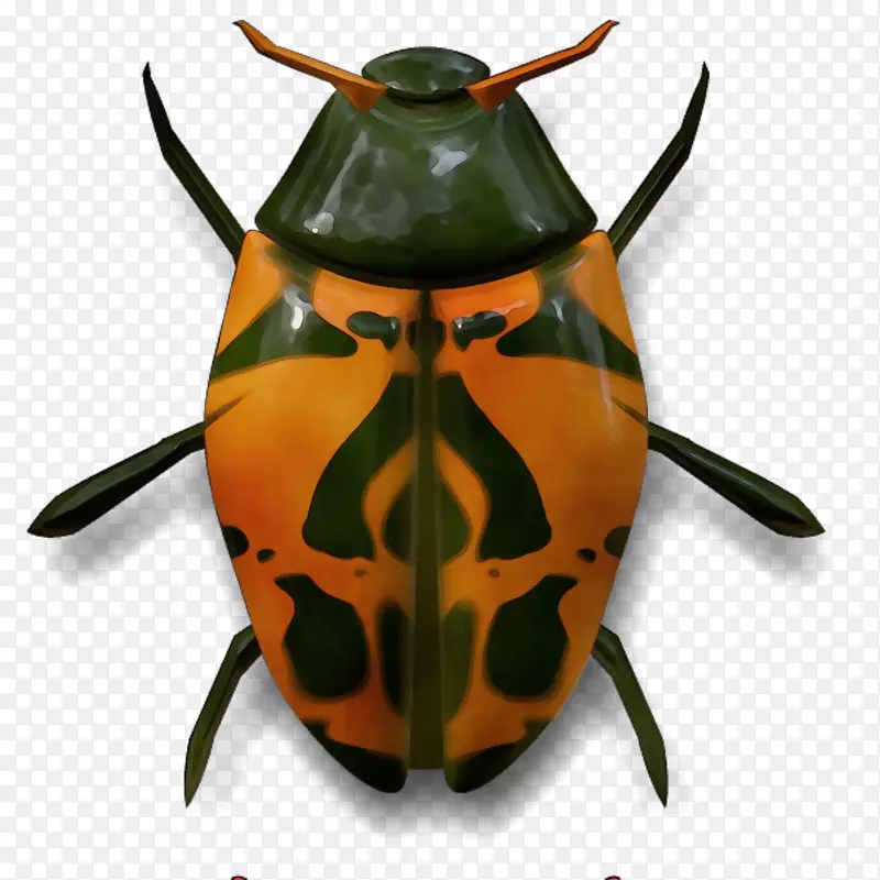 ˮ�ʻ� ���� ʪīˮ-������