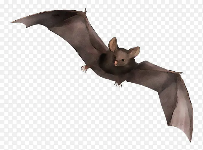 ˮ�ʻ� ���� ʪīˮ-������