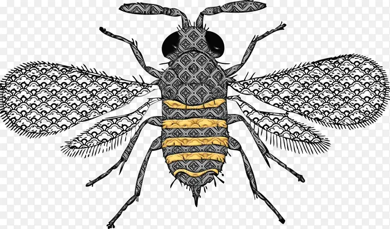 ˮ�� ���� ʪīˮ-������