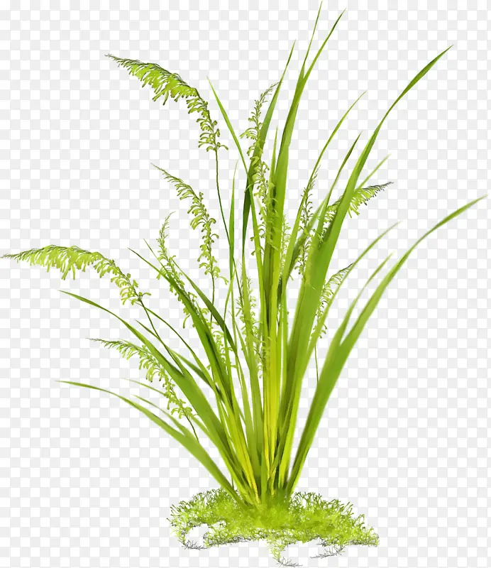 ˮ�� ���� ʪī-������