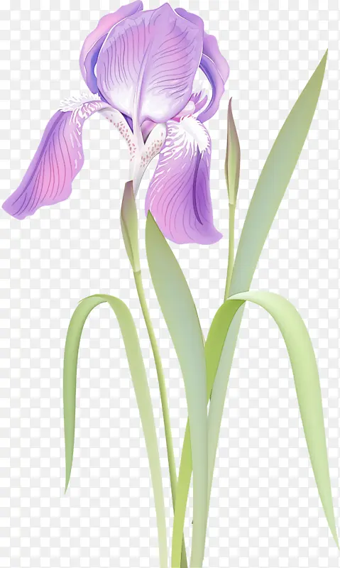 �� ����ֲ�� ֲ��-������