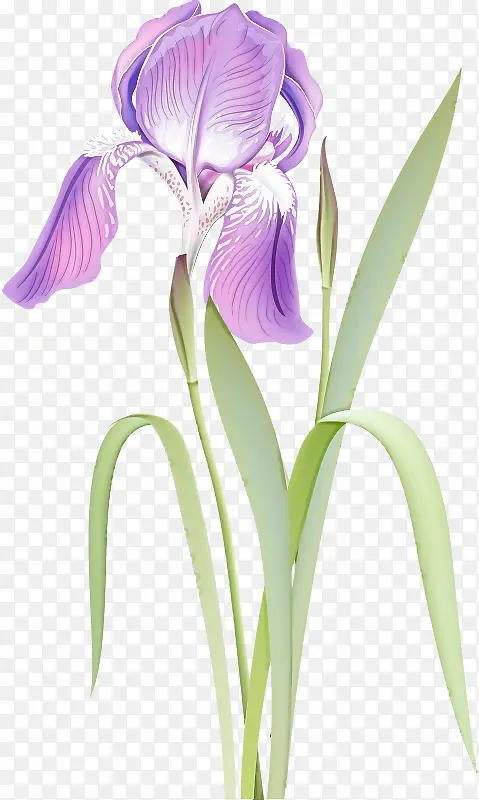 �� ����ֲ�� ֲ��-������