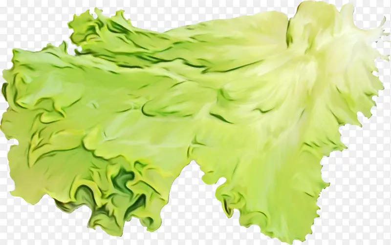 ˮ�ʻ� ���� ʪīˮ-������