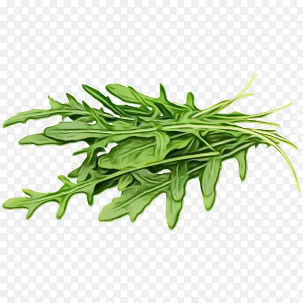 ˮ�ʻ� ���� ʪī-������