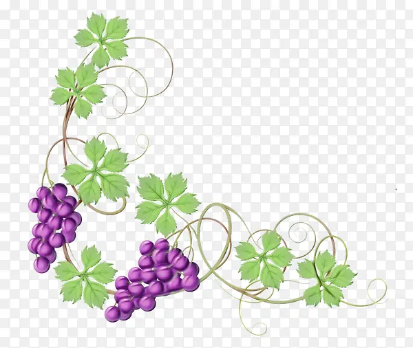 ˮ�ʻ� ���� ʪī-������