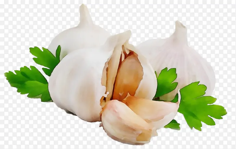 ˮ�ʻ� ���� ʪīˮ-������