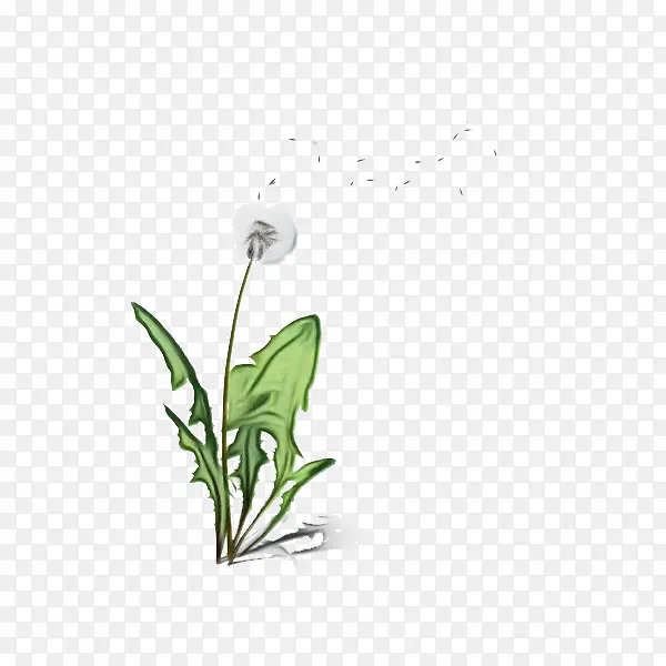 ˮ�ʻ� ���� ʪī-������