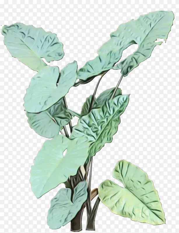 ˮ�� ���� ʪī-������