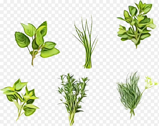 ˮ�ʻ� ���� ʪī-������