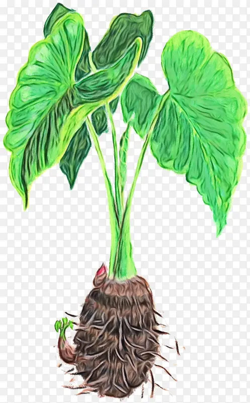 ˮ�ʻ� ���� ʪīˮ-������