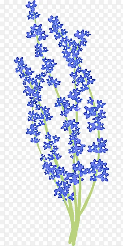 �ɹ���Ʒ�� ֲ�� ޹�²�-������