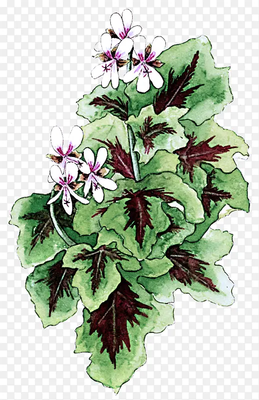 �� ����ֲ�� ֲ��-������