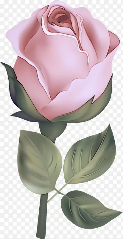 ���� ���� ��ɫ-������